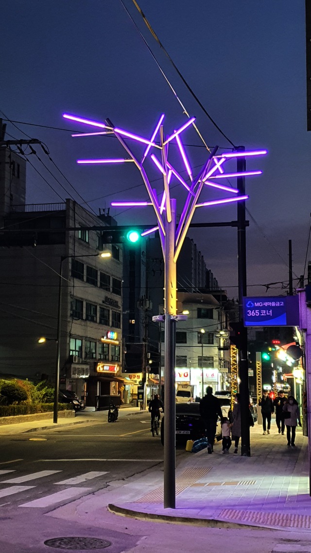 나무 보라색.jpg