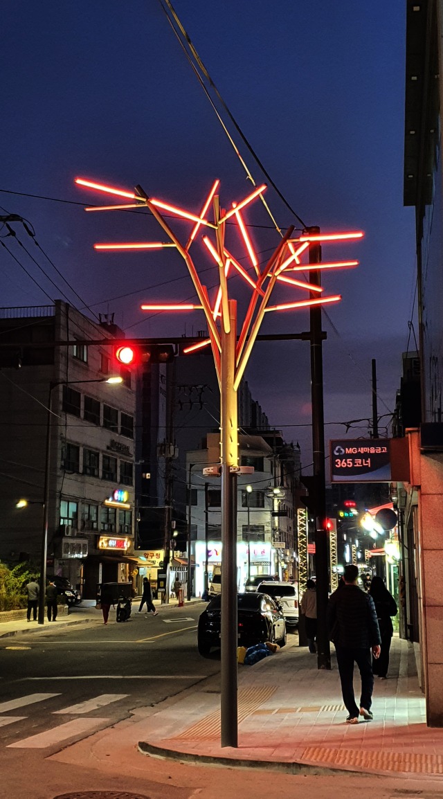 나무 주황색.jpg