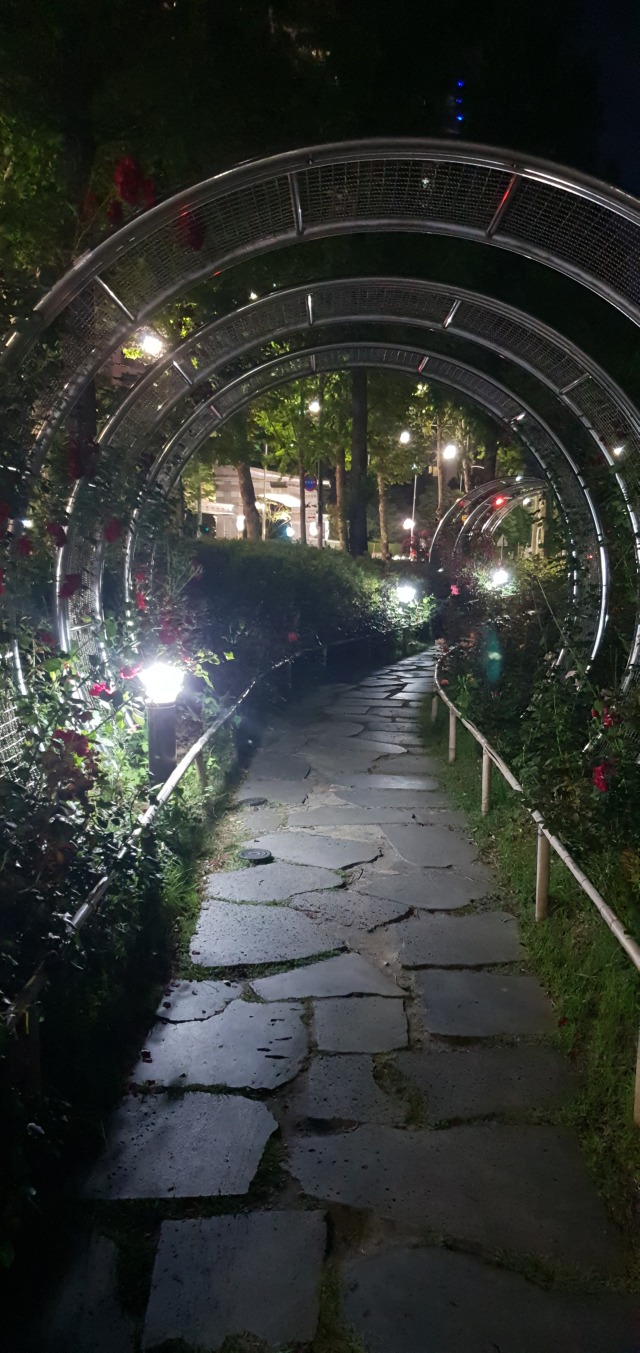 2019 -송파-나루근린공원_SBS-B, 8W(볼라드) (2).jpg