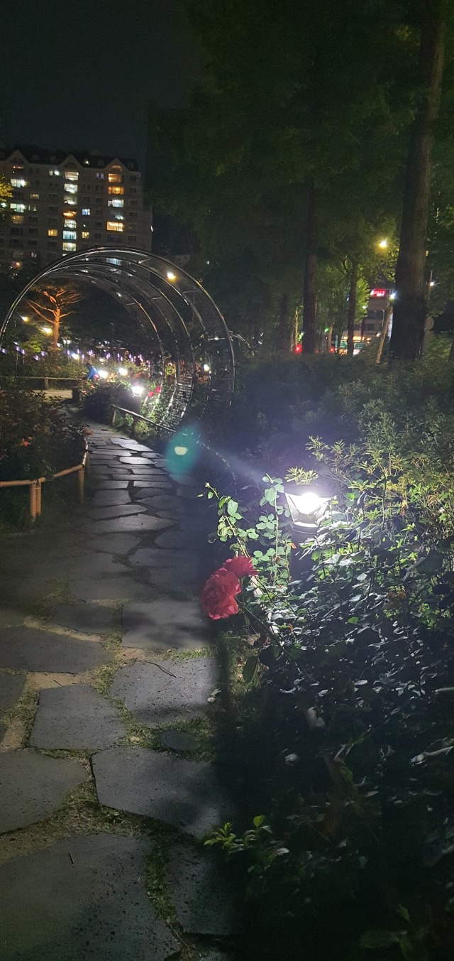 2019 -송파-나루근린공원_SBS-B, 8W(볼라드) (4).jpg