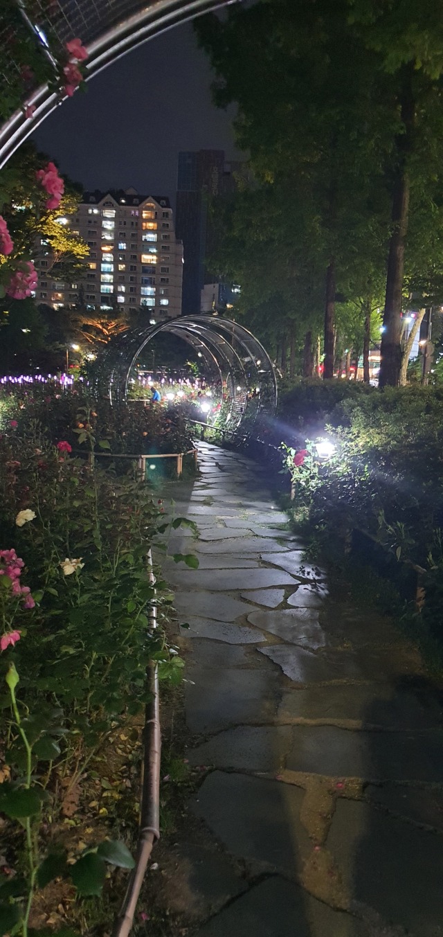 2019 -송파-나루근린공원_SBS-B, 8W(볼라드) (5).jpg