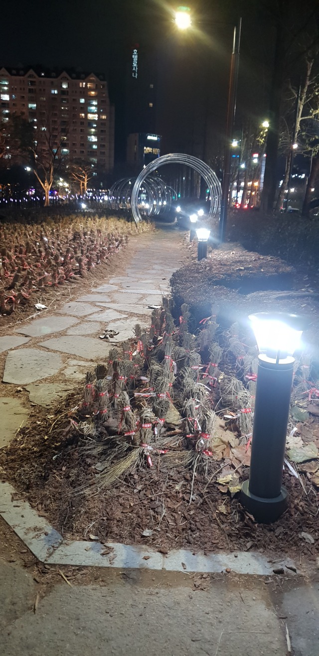 2019 -송파-나루근린공원_SBS-B, 8W(볼라드) (7).jpg