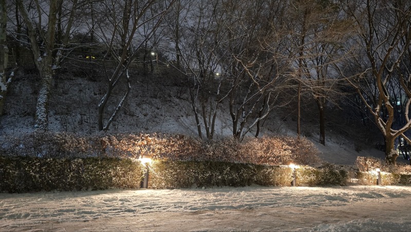 2024 -중랑-용마산폭포공원_SB001, 20W (볼라드)(13).jpg