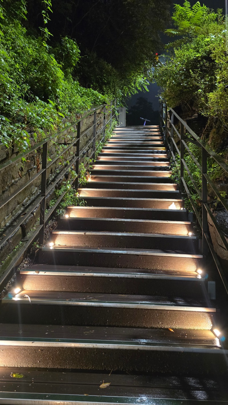 2024 -강남-일원보도육교G004, 6W_스텝등 (2).jpg