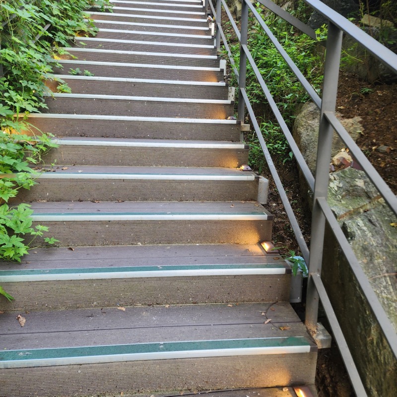 2024 -강남-일원보도육교G004, 6W_스텝등 (17).jpg