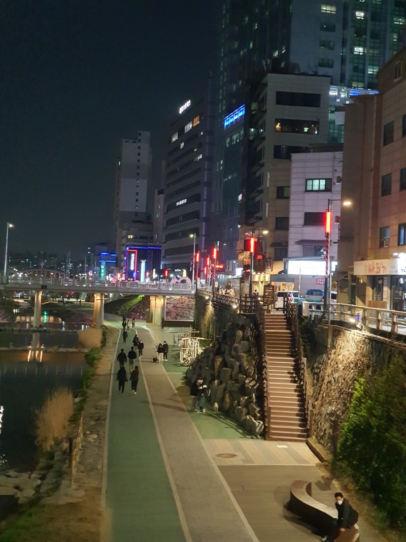 2021-관악 도림천_KLLED-49, 54W(열주등)  (16).jpg