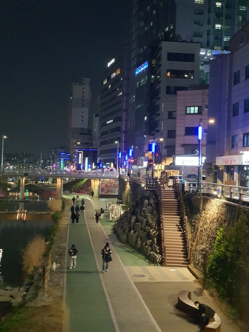 2021-관악 도림천_KLLED-49, 54W(열주등)  (14).jpg