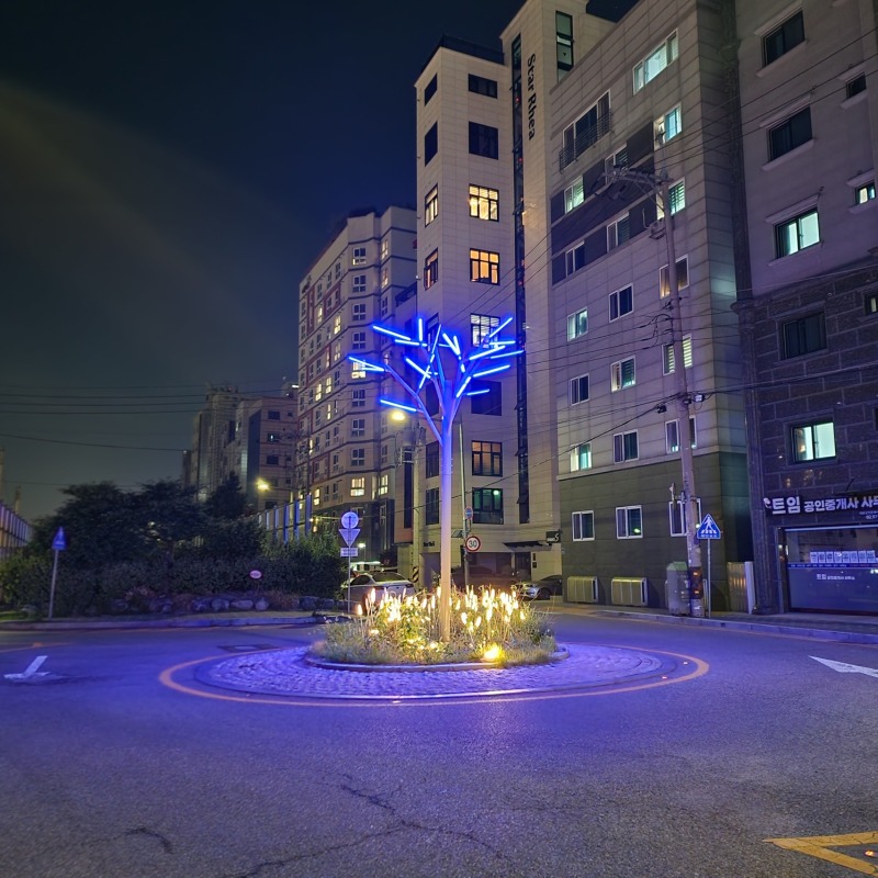 2021-관악 도림천_SP019, 210W,(나무열주등)  (24).jpg