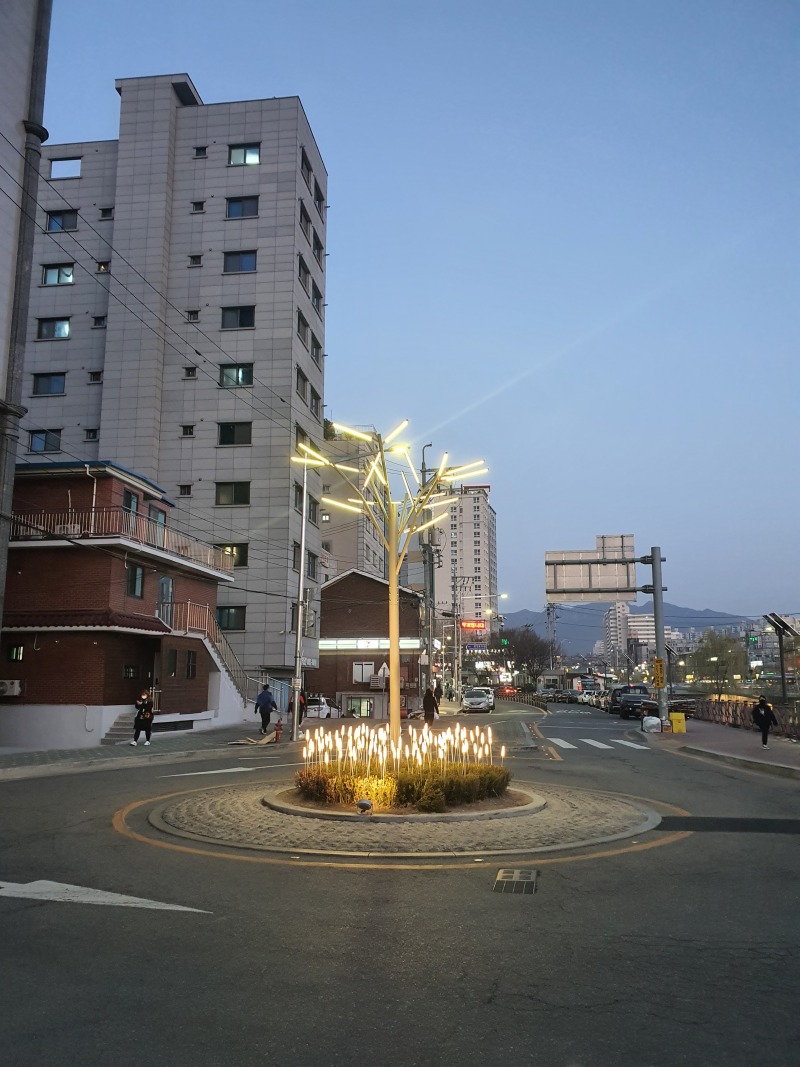 2021-관악 도림천_SP019, 210W,(나무열주등)  (10).jpg