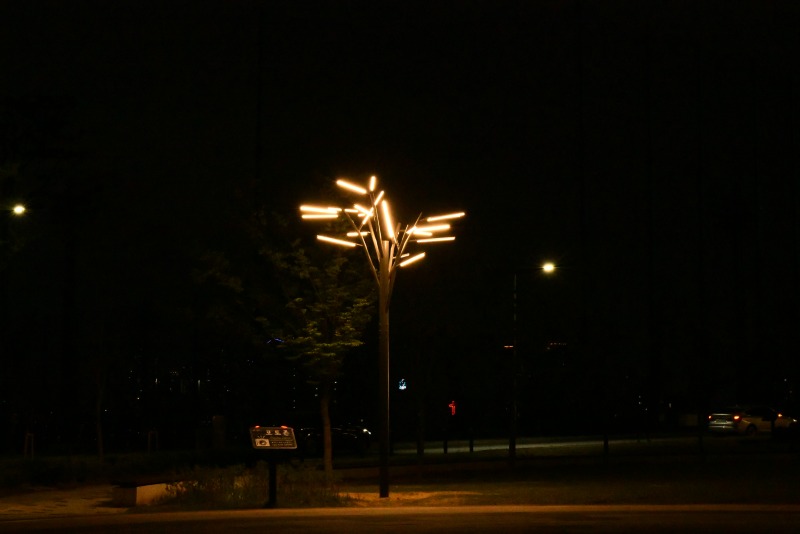 2022 -광진-광진숲나루_SP019, 210W,(나무열주등) (4).JPG