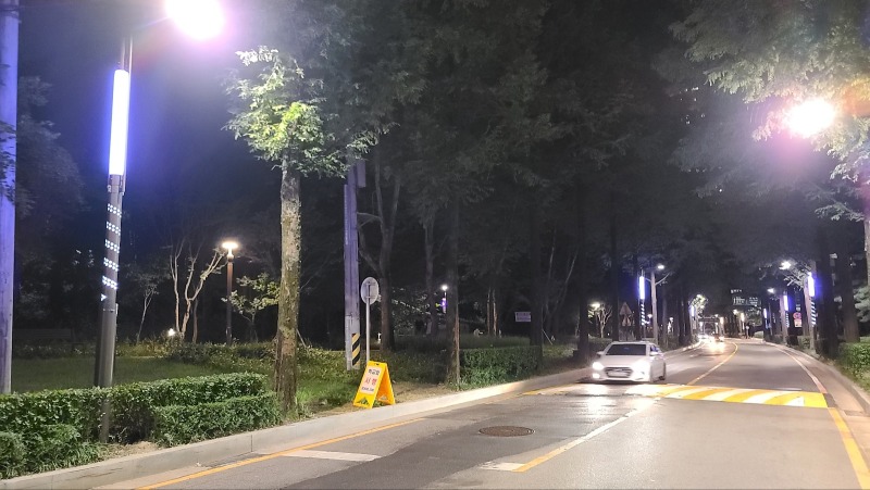 【2023 강남-양재천】 (1).jpg