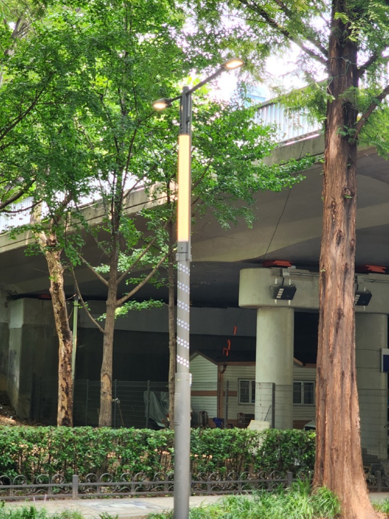 2023 -강남-양재천로_SP025, 90W (열주풀)  (9).jpg