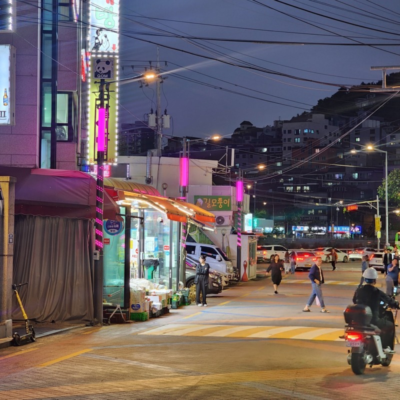 【2024 관악-서림동열주】  (13).jpg