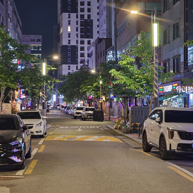 【2024 관악-서림동열주】  (2).jpg