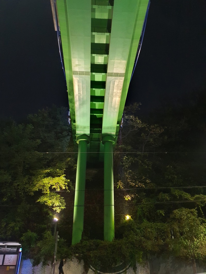 동대문-영화의거리 (3).jpg