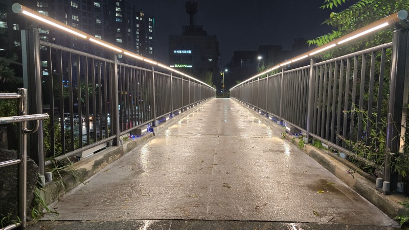 ♣2024 강남-일원보도육교_KLLED-60, 12W(라인바) (2).jpg