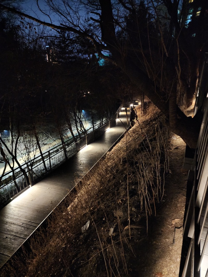 2024 -중구-응봉,매봉 1구간,2구간+ 남산자락 3구간_SL001, 14W,(라인바)  (6).jpg