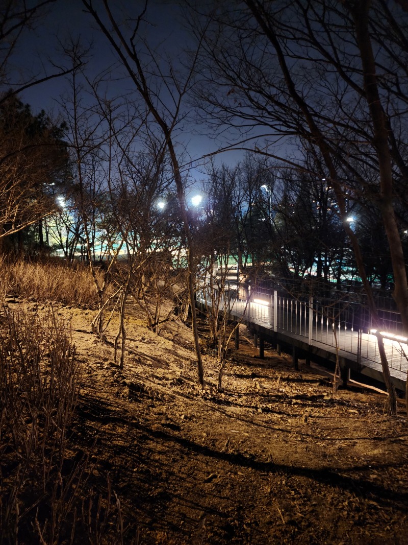 2024 -중구-응봉,매봉 1구간,2구간+ 남산자락 3구간_SL001, 14W,(라인바)  (11).jpg