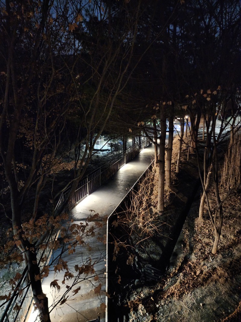 2024 -중구-응봉,매봉 1구간,2구간+ 남산자락 3구간_SL001, 14W,(라인바)  (28).jpg