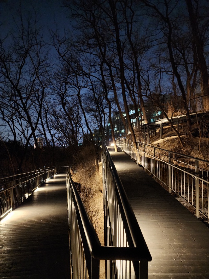 2024 -중구-응봉,매봉 1구간,2구간+ 남산자락 3구간_SL001, 14W,(라인바)  (41).jpg