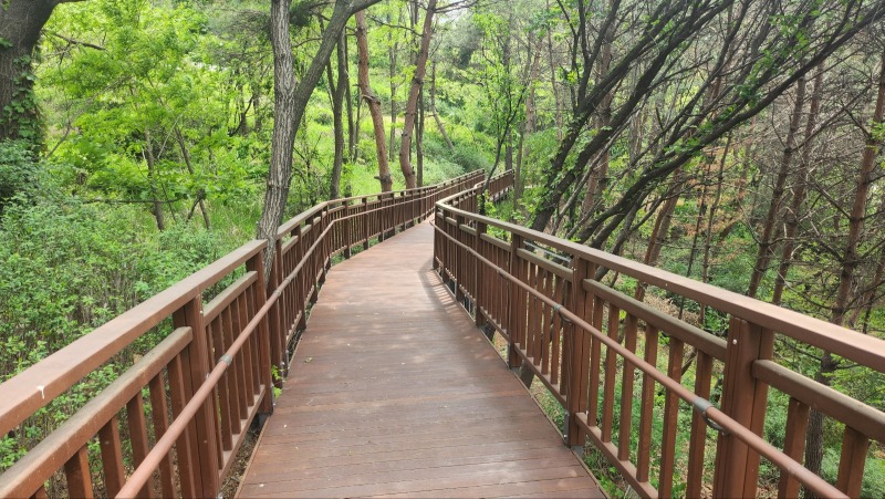 2025 -중랑-망우역사어린이공원_SL001, 14W(라인바) (8).jpg