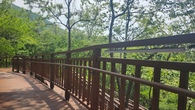 2025 -중랑-망우역사어린이공원_SL001, 14W(라인바) (29).jpg