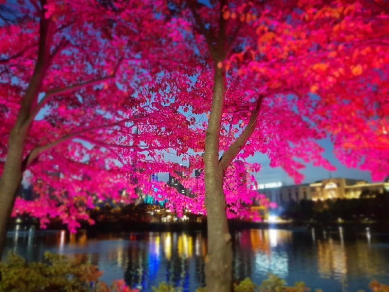 2019 -송파-석촌호수_SPL190-F45, 45W(투광등) (31).jpg