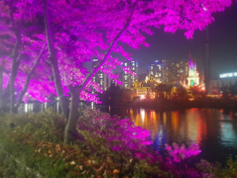 2019 -송파-석촌호수_SPL190-F45, 45W(투광등) (4).jpg