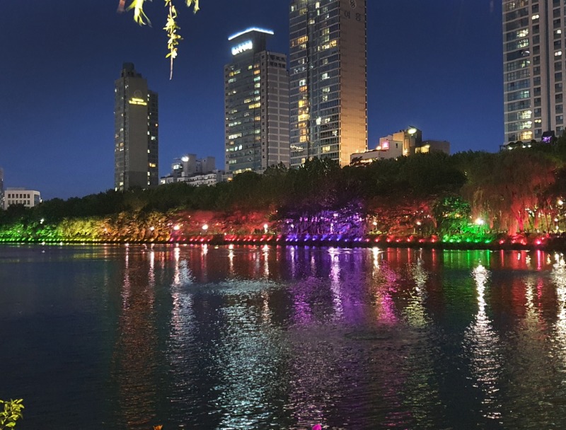 2019 -송파-석촌호수_SPL190-F45, 45W(투광등) (34).jpg