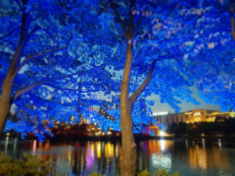 2019 -송파-석촌호수_SPL190-F45, 45W(투광등) (33).jpg