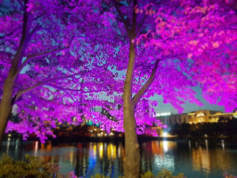 2019 -송파-석촌호수_SPL190-F45, 45W(투광등) (32).jpg