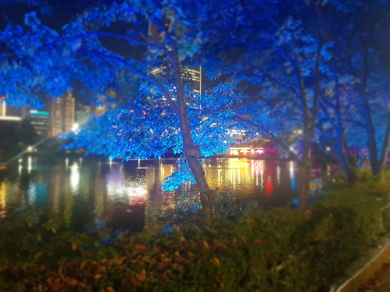 2019 -송파-석촌호수_SPL190-F45, 45W(투광등) (7).jpg