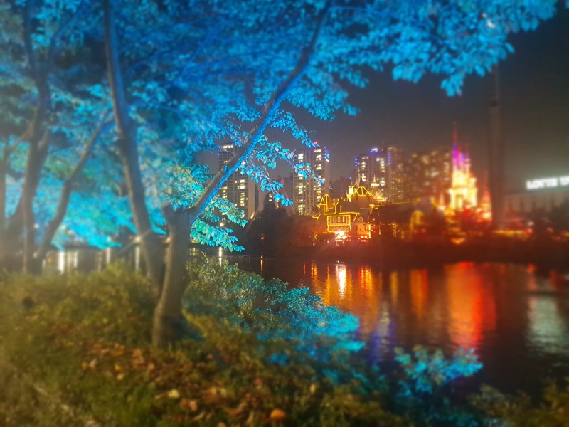 2019 -송파-석촌호수_SPL190-F45, 45W(투광등) (5).jpg