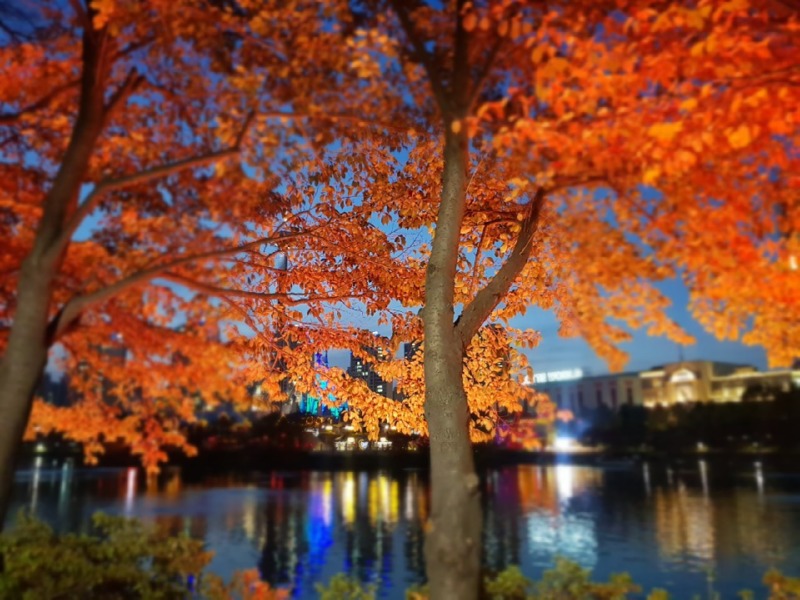 2019 -송파-석촌호수_SPL190-F45, 45W(투광등) (9).jpg