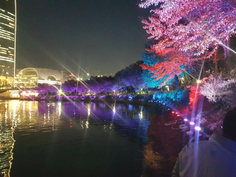 2019 -송파-석촌호수_SPL190-F45, 45W(투광등) (8).jpg