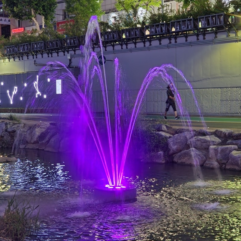 2024 -관악-별빛내린천_SF013, 24W(투광등) (7).jpg