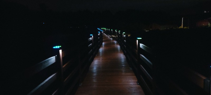 2022-제주서귀포_강정 생태파천 탐방길_SPL-SB120, 0 (20).jpg