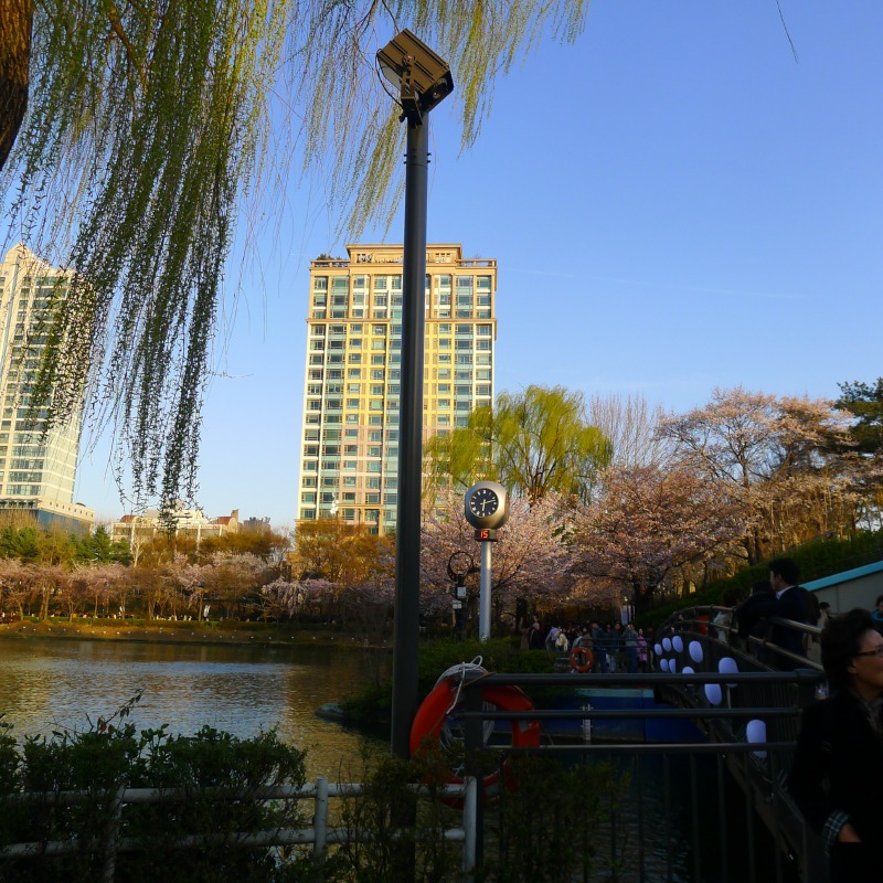 2019-송파-석촌호수(사급) SGB006, 150W  (고보조명) (2).JPG