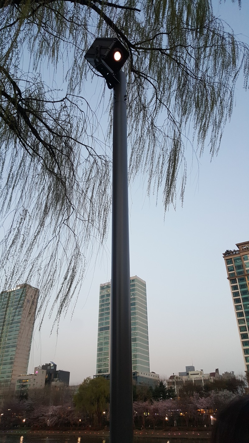 2019-송파-석촌호수(사급) SGB006, 150W  (고보조명) (5).jpg