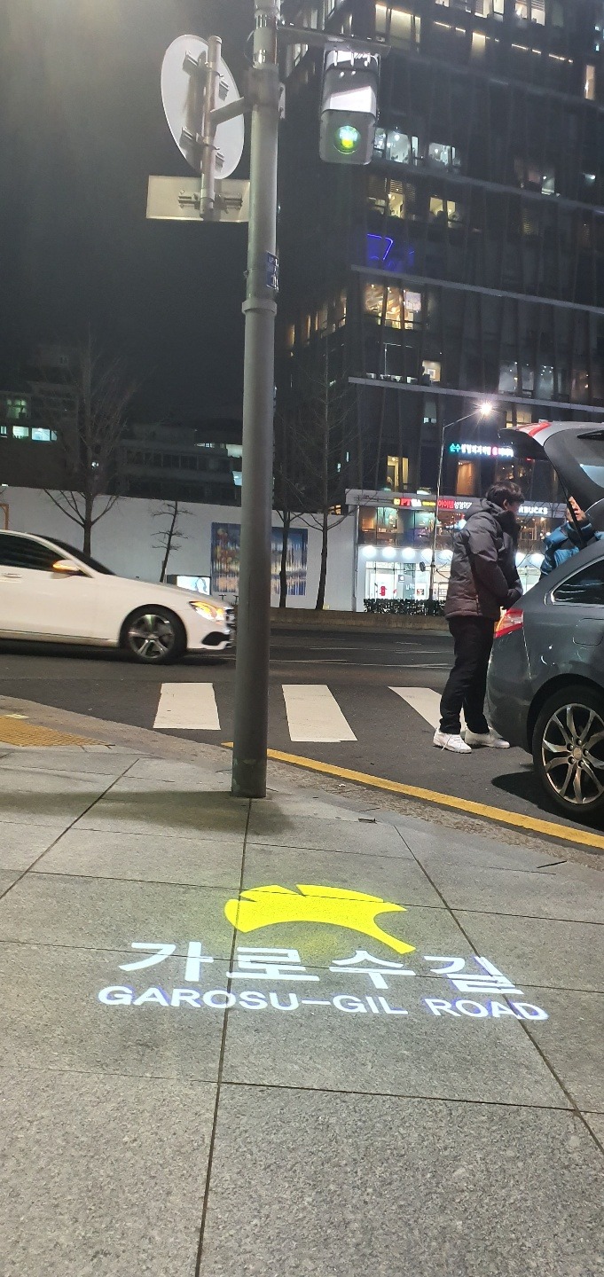 2020 -강남-신사동가로수_SGB002, 300W (고보조명)   (2).jpg