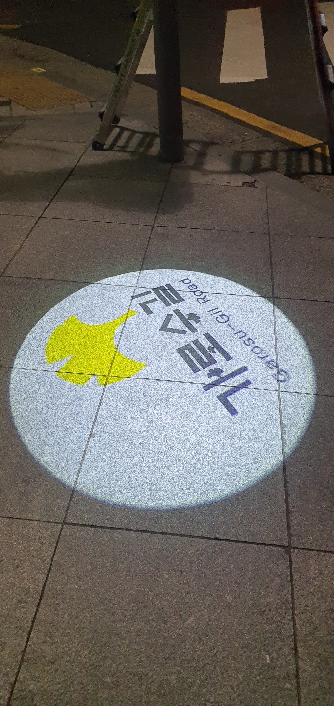 2020 -강남-신사동가로수_SGB002, 300W (고보조명)   (9).jpg