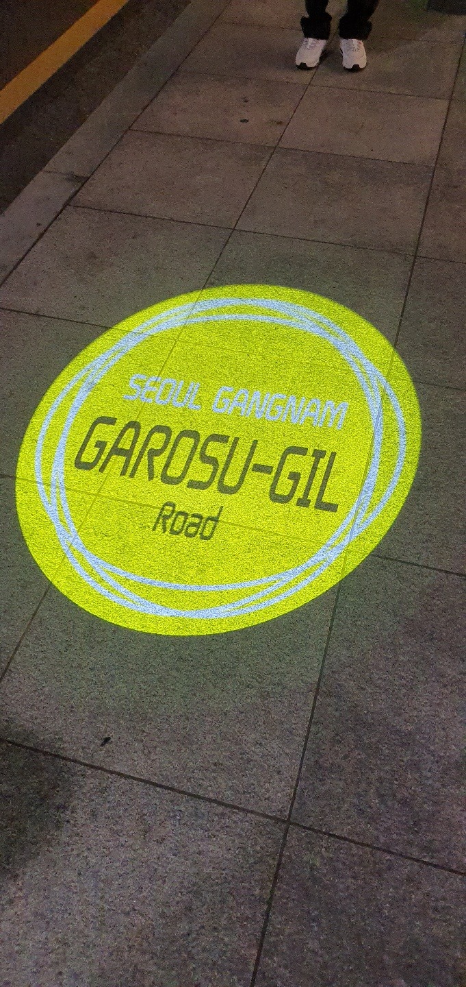 2020 -강남-신사동가로수_SGB002, 300W (고보조명)   (6).jpg