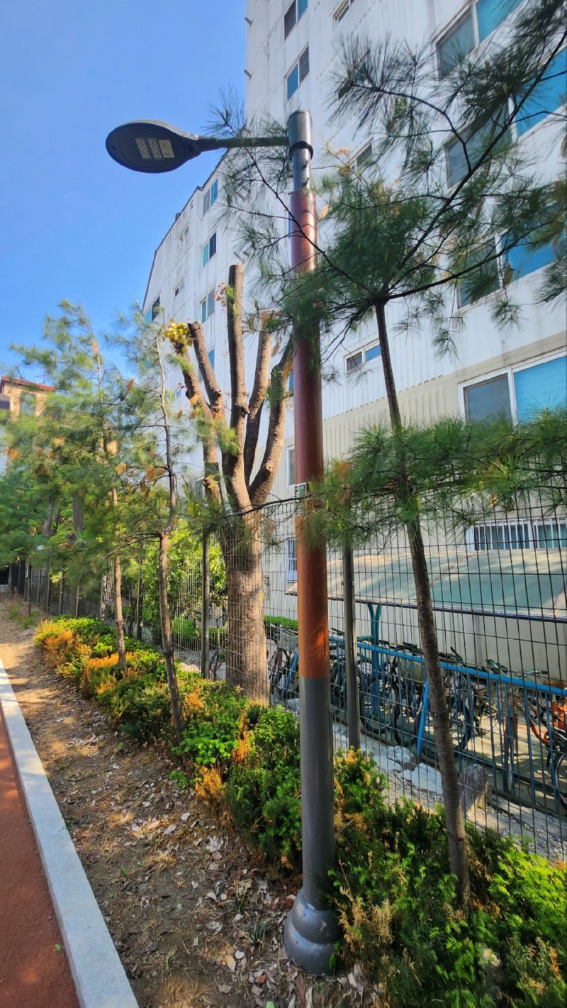 2024-강동-천사어린이공원-철재공원등(목무늬) (25).jpg