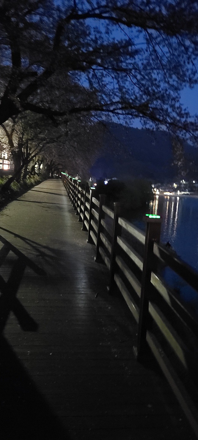 2020-충남옥천-교동저수지 자전거도로_SPL-SB120, 0 (17).jpg