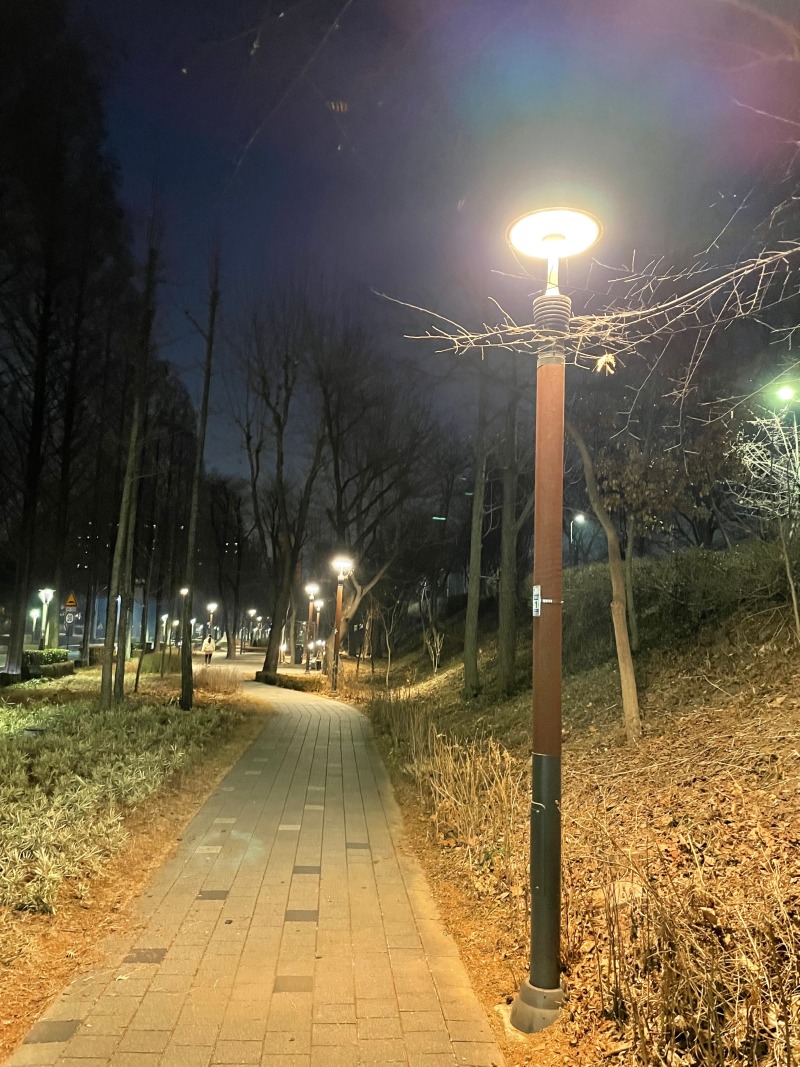 20220109_강남-양재천메디스퀘어 (1).jpg