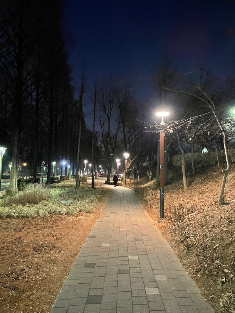 20220109_강남-양재천메디스퀘어 (2).jpg