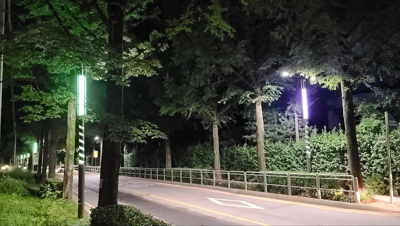 2023 -강남-양재천로_SP025, 90W (열주풀)  (17).jpg