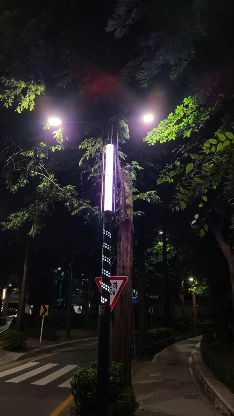 2023 -강남-양재천로_SP025, 90W (열주풀)  (33).jpg